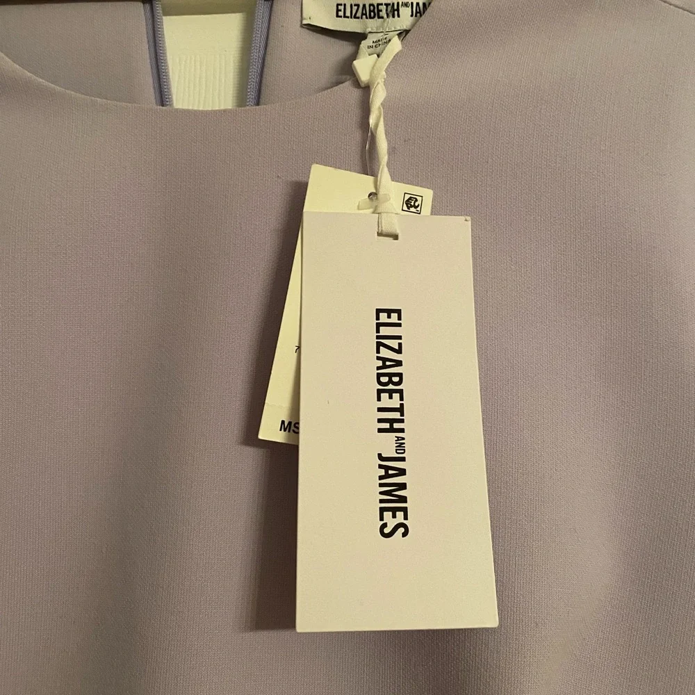 Elizabeth and James Aiala Dress NWT - Picture 5 of 7